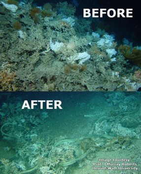 bahayanya bottom trawling pukat